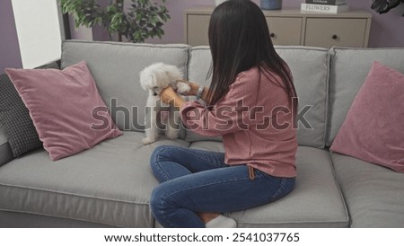 Similar – Image, Stock Photo Young woman caressing adorable British shorthair golden cat on sofa at home