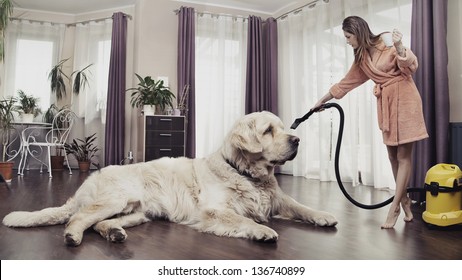 Young Woman Cleaning Big Dog