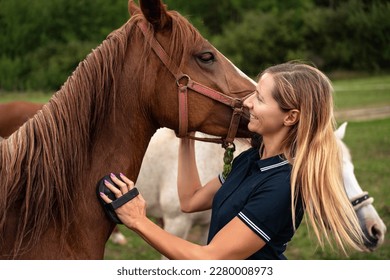 Young woman cleaning brown horse with brush, her head next to animal - Powered by Shutterstock