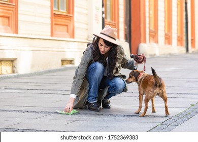 Young Woman Cleaning Dogs Excrement On Street, Pet Owner Picks Up Dog's Poop Cleaning Up Mess.