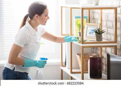 Young Woman Cleaning The Wooden Shelf In Living Room