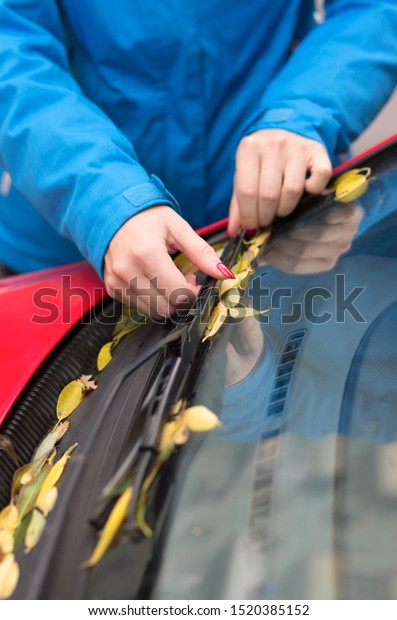 Young woman cleans\
wiper blades and windshield from fallen yellow leaves in autumn\
time vertical orientation