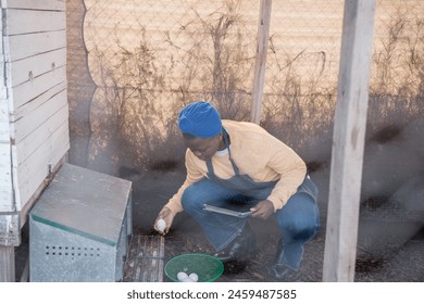 Young woman collecting fresh eggs just laid by free-range hens. Concept: farm - Powered by Shutterstock