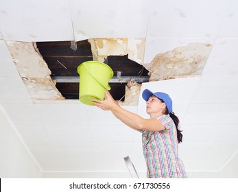 Young Woman Collecting Water In Bucket From Ceiling. Ceiling Panels Damaged Huge Hole In Roof From Rainwater Leakage.Water Damaged Ceiling .