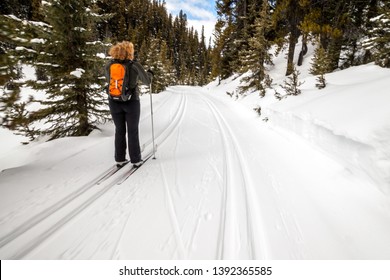 A Young Woman Cross Country Skiing In Peter Lougheed Provincial Park, Alberta, Canada