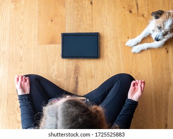 Young Woman Cross-legged Doing Yoga In Front Of A Tray With A Small Dog, Top View, Healthy Lifestyle, Fitness, Social Distance