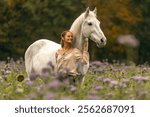 A young woman cuddle and interact with her white spanish horese on a wildflower field in autumn outdoors