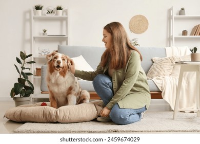 Young woman with cute Australian Shepherd dog on pet bed at home - Powered by Shutterstock