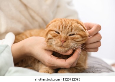 Young woman with cute funny cat at home - Shutterstock ID 1325712395