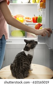 Young Woman And Cute Funny Cat Looking Inside Open Fridge