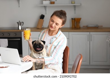 Young woman with cute pug dog drinking juice in kitchen