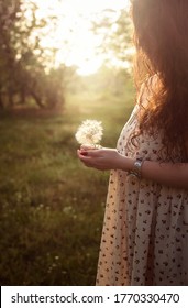 
young woman with dandelion in hand in the park in the rays of the setting sun - Shutterstock ID 1770330470
