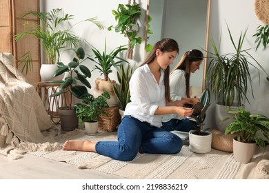 Young Woman With Different Houseplants Sitting Near Mirror In Room