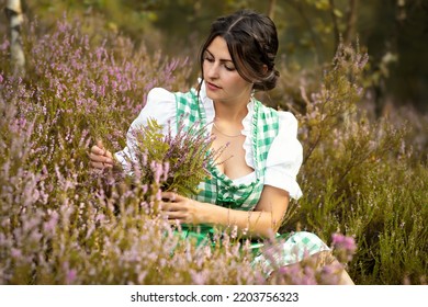 Young Woman With Dirndl Collects Heather Herbs