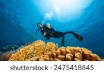 Young Woman Diver Exploring Sea Bottom. Coral Reef with Colored Hard Corals and Fish. Marsa Alam, Egypt.