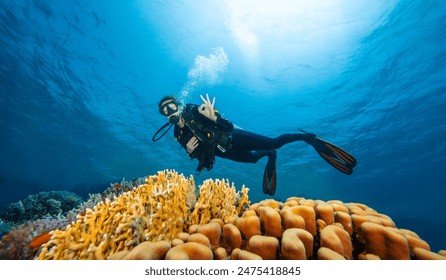 Young Woman Diver Exploring Sea Bottom. Coral Reef with Colored Hard Corals and Fish. Marsa Alam, Egypt.