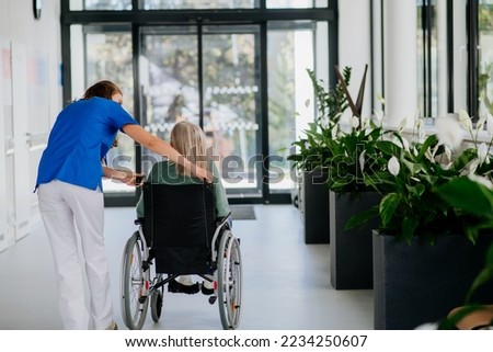 Young woman doctor taking care of senior woman at wheelchair.