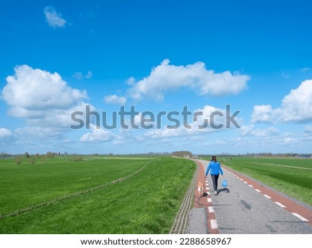 young woman with dog on dike of river lek near utrecht  in holland under blue spring sky