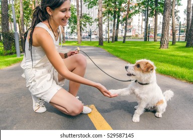 Young Woman And Dog Shaking Hands At Summer Park Alley. Human And Pets Best Friends Concept