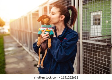 Young Woman In Dog Shelter Adopting A Dog.