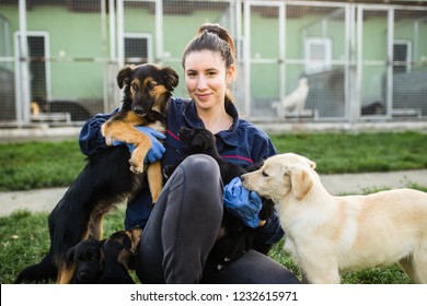 Young Woman In Dog Shelter Playing With Dogs An Choosing Which One To Adobt.