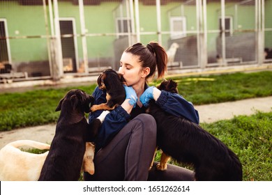 Young Woman In Dog Shelter Playing With Dogs An Choosing Which One To Adobt.