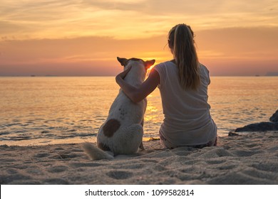                                A young woman with a dog watching the sunset on the beach