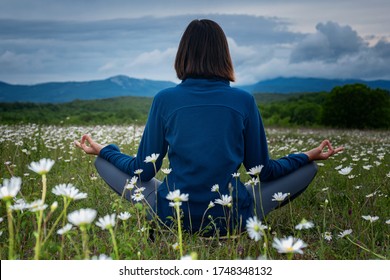 A Young Woman Doing Yoga In The Field. Meditation In A Chamomile Field Before Sunset. Deep Blue Colours, Calm And Peaceful. Spiritual And Emotional Concept. Back View