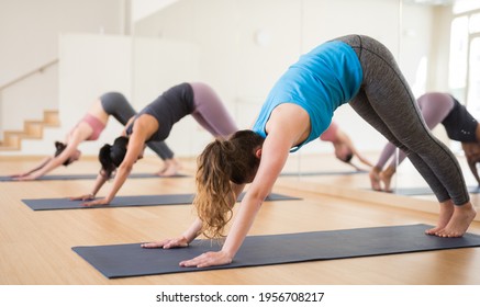 Young woman doing yoga with group in fitness studio, standing in stretching asana Adho Mukha Shvanasana known as Downward Dog pose - Powered by Shutterstock