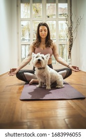Young woman is doing yoga meditation in the living room at home. She is meditating on floor mat in morning sunshine supporting by her pet dog.