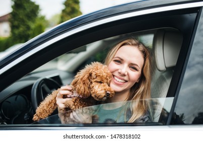 200 Long vehicle dog Images, Stock Photos & Vectors | Shutterstock