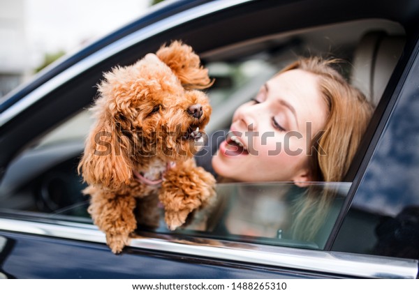 Young woman driver with a dog sitting in car,\
looking out of window.