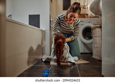 Young Woman Drying Her Adorable Dog With Towel On The Floor In The Bathroom After His Bath