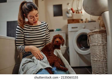 Young Woman Drying Her Adorable Dog With Towel On The Floor In The Bathroom After His Bath