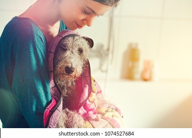 Young Woman Drying Her Dog Off With A Towel After Bath, Sunny Background