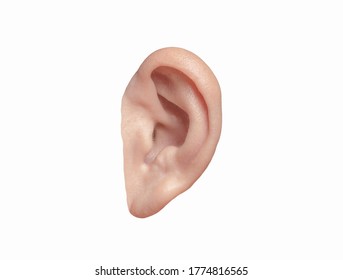 Human Ear Closeup Shot Ear Ent Stock Photo (Edit Now) 1333532462