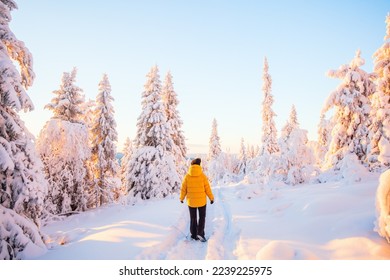 Young woman enjoying stunning view over winter forest with snow covered trees in Lapland Finland