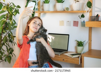 Young Woman Entrepreneur Working On Laptop At Home With Her Cat Together In Modern Room With Plants. Girl Using A Computer For Study Online At Home, Female User Busy On A Distance Internet Job. Cozy