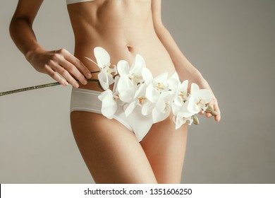 Young woman with epilated bikini zone holding flower isolated on gray studio background. Cut out part of body. Medical problem and solution.