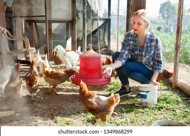 Young woman farmer caring for poultry  - Powered by Shutterstock