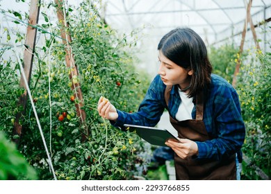 Young Woman farmer using digital tablet for inspecting and quality control of tomatoes in the greenhouse farm, agricultural technology smart farming concept. - Powered by Shutterstock