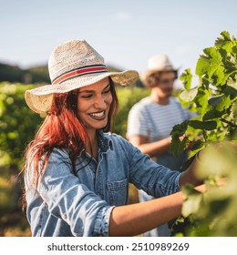 Young woman farmer work and analysis grape leaf in the vineyard - Powered by Shutterstock