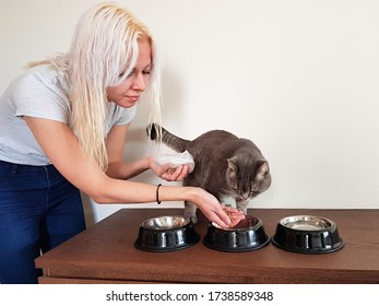 Young Woman Feeding Her Cat