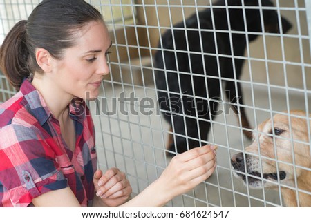 Similar – Little baby cow feeding from milk bottle.