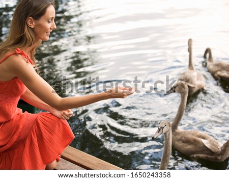 Steg im Teich Erholung