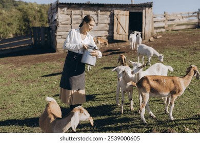 A young woman feeds goats on a rustic farm, showcasing traditional agriculture. The serene setting includes a wooden barn and grazing animals, highlighting a peaceful rural lifestyle. - Powered by Shutterstock