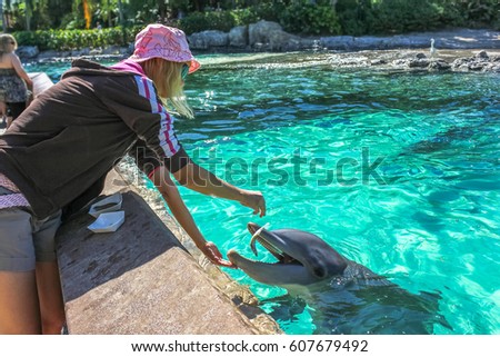 Young woman feeds a laughing dolphin in a pool.