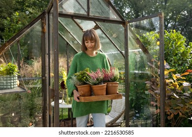 Young Woman Florist Walks With Flower Pots, Taking Care Of Plants At Beautiful Backyard With Glasshouse. Hobby, Growing Plants Concept