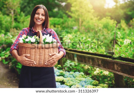 Similar – Foto Bild Ein Strauch voller Bio Tomaten