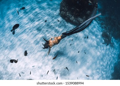 Young Woman Freediver Fins Dive Over Stock Photo (Edit Now) 1486530200